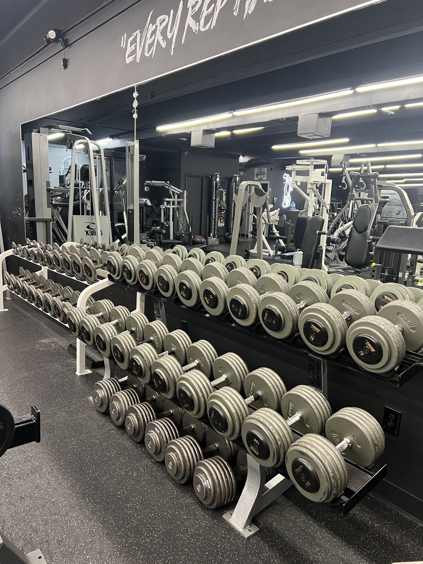 Dumbbells Troy Hammertone Cast Iron Pro Style Dumbbell