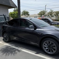Tint For Sale 