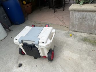 Cooler pelican