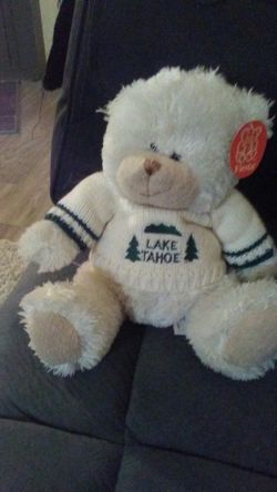 Lake Tahoe teddy bear