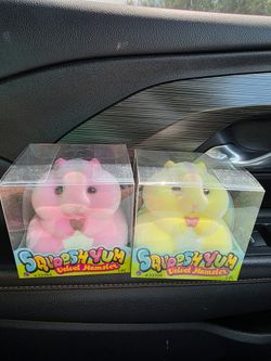 Squirrel Squishies