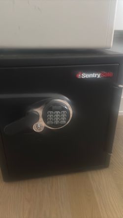 Sentry Dual locking Safe