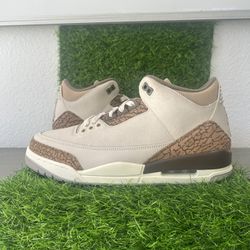 Jordan 3s 