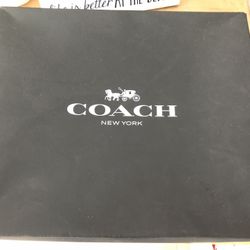 Coach X Tom Wesselmann Swinger 20