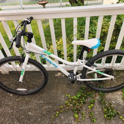 Trek Bicycle 