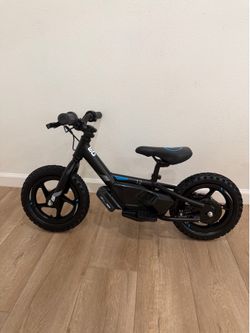 12” Stacyc edrive