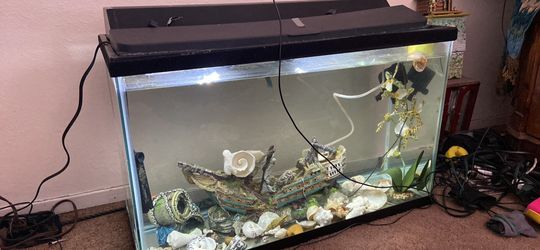 Tank decorations not included