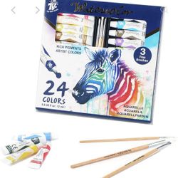 TBC The Best Crafts 24 Colors(12ml/Tube) Acrylic Paints for Artists(24 Basic & Metallic Colors), Ideal Acrylic Art Set for Canvas, Wood, Rock Painting