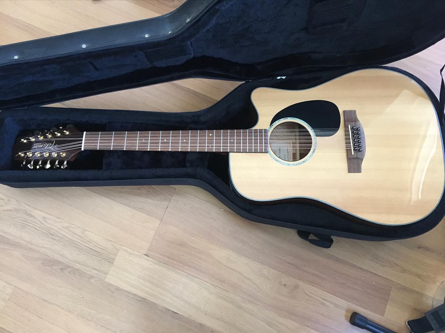 Takamine 12 String G Series