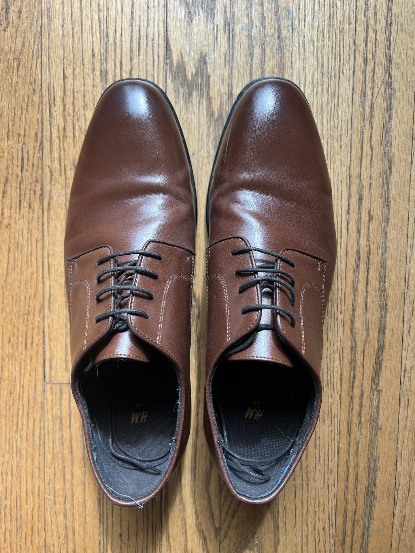 H&M Brown Derby Men’s Dress Shoes - SALE!