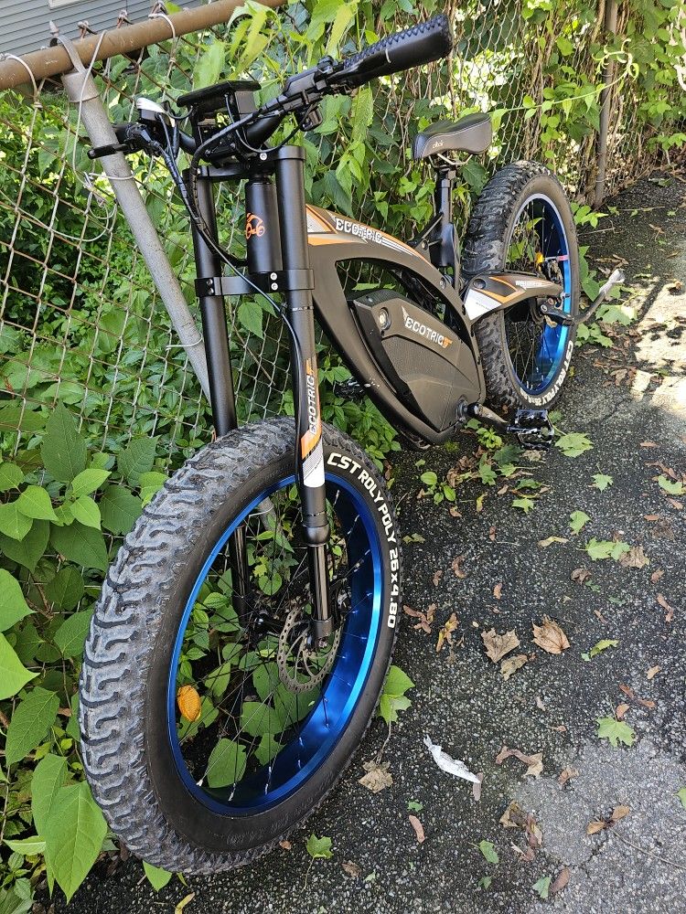 Ecotric Bison