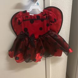 Lady Bug Costume