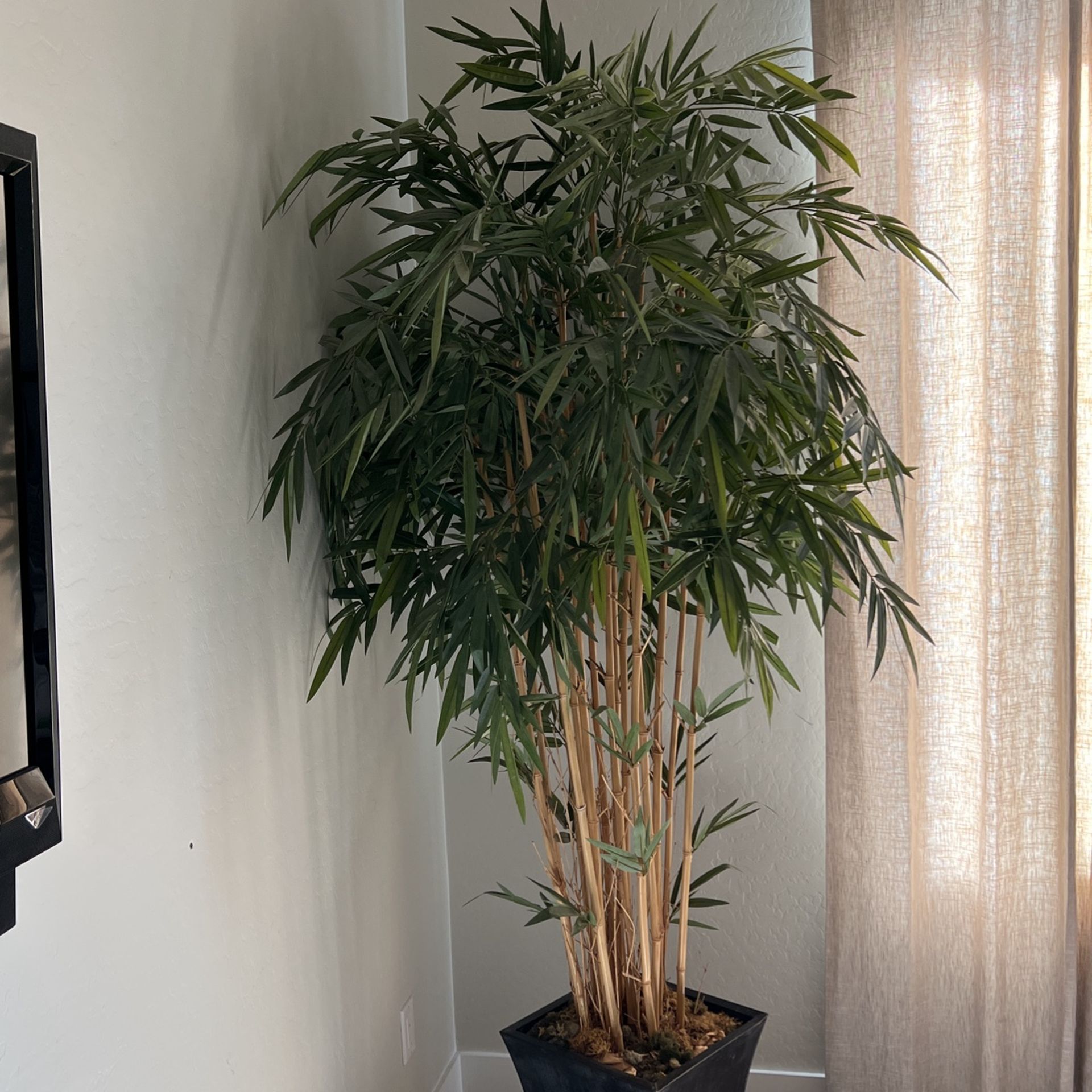 Faux Bamboo Plant 7.5 Feet With Planter