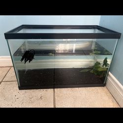 10 Gal Fish Tank 