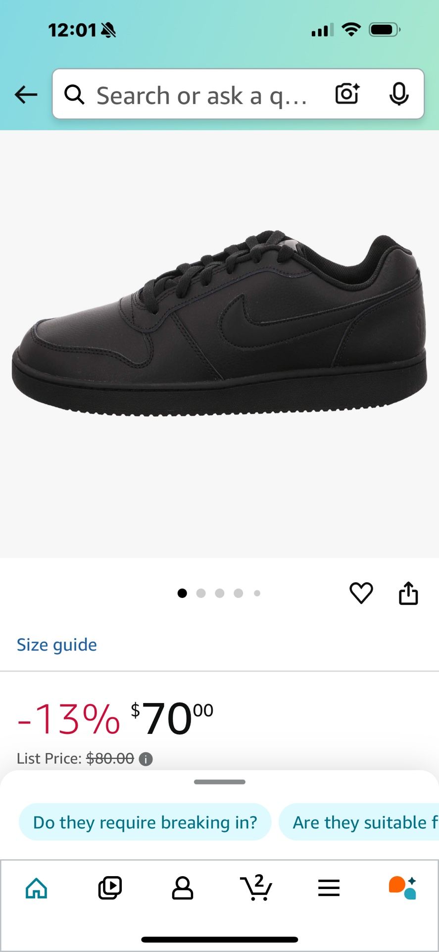 Nike Black Shoes