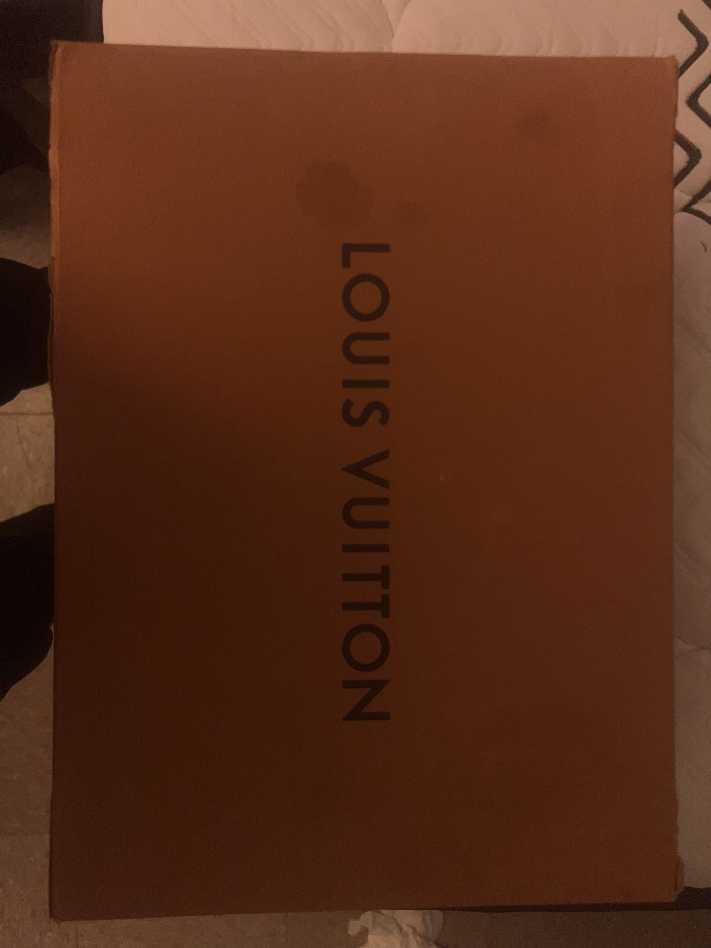 Louis Vuttion Bag 