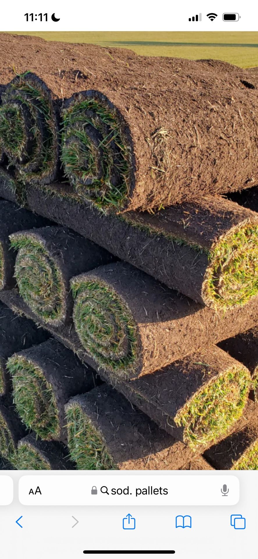 Fresh Sod