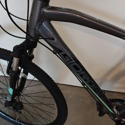 Giodano Hybrid Bicycle 