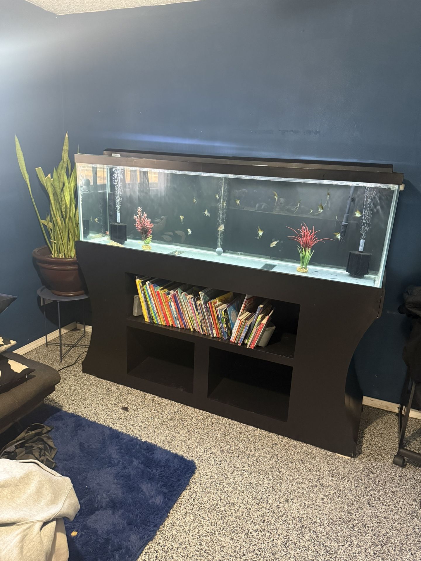 125 Gallon Aquarium