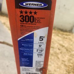 Werner Ladder 5’