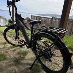 Rad City Plus Power Bike