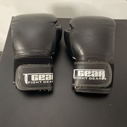 MMA Tiger Gear 10oz Gloves