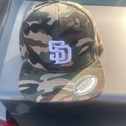 SD SnapBack 