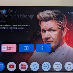 Sony Bravia 8 TV 55in