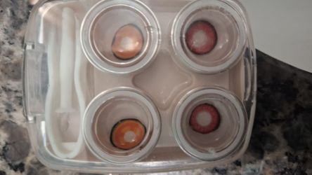 Anime contacts lenses