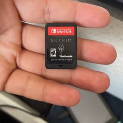 Skyrim For switch 