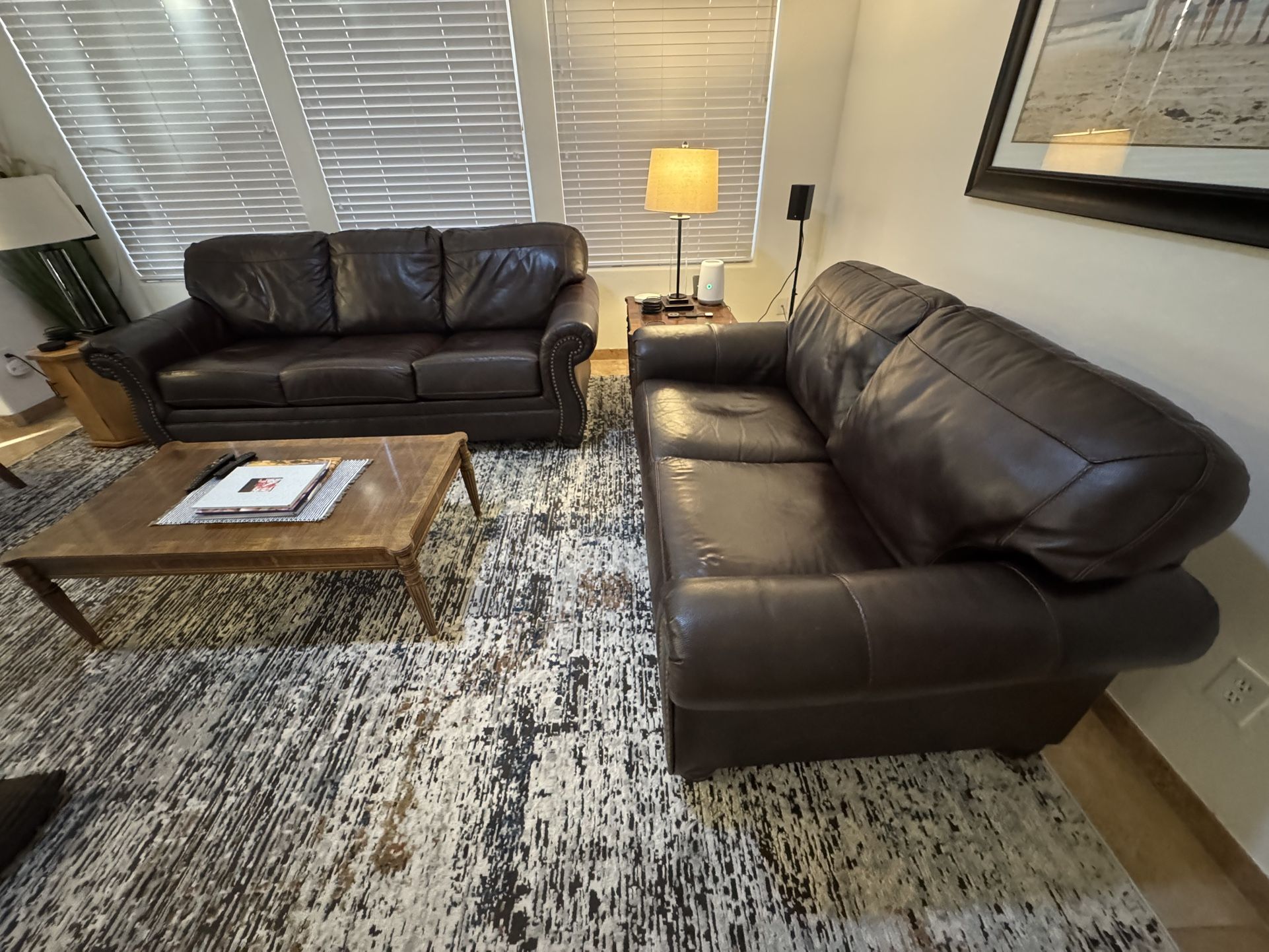 Leather Sleeper Sofa & Loveseat