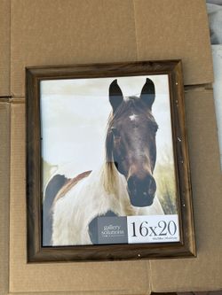 Picture Frame 16x20 
