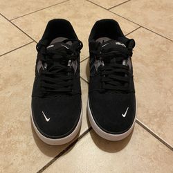 Skateboarding Shoes / Nike SBs Ishod Wairs