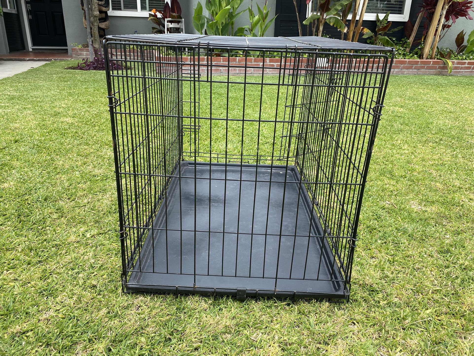 Dog Crate
