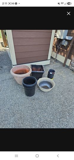 FREE 20  various size pot