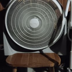 Fan
