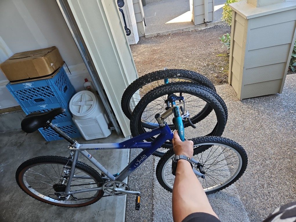 Cannondale Killer V 900