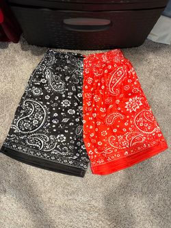 Asylum Co. Mesh bandana shorts