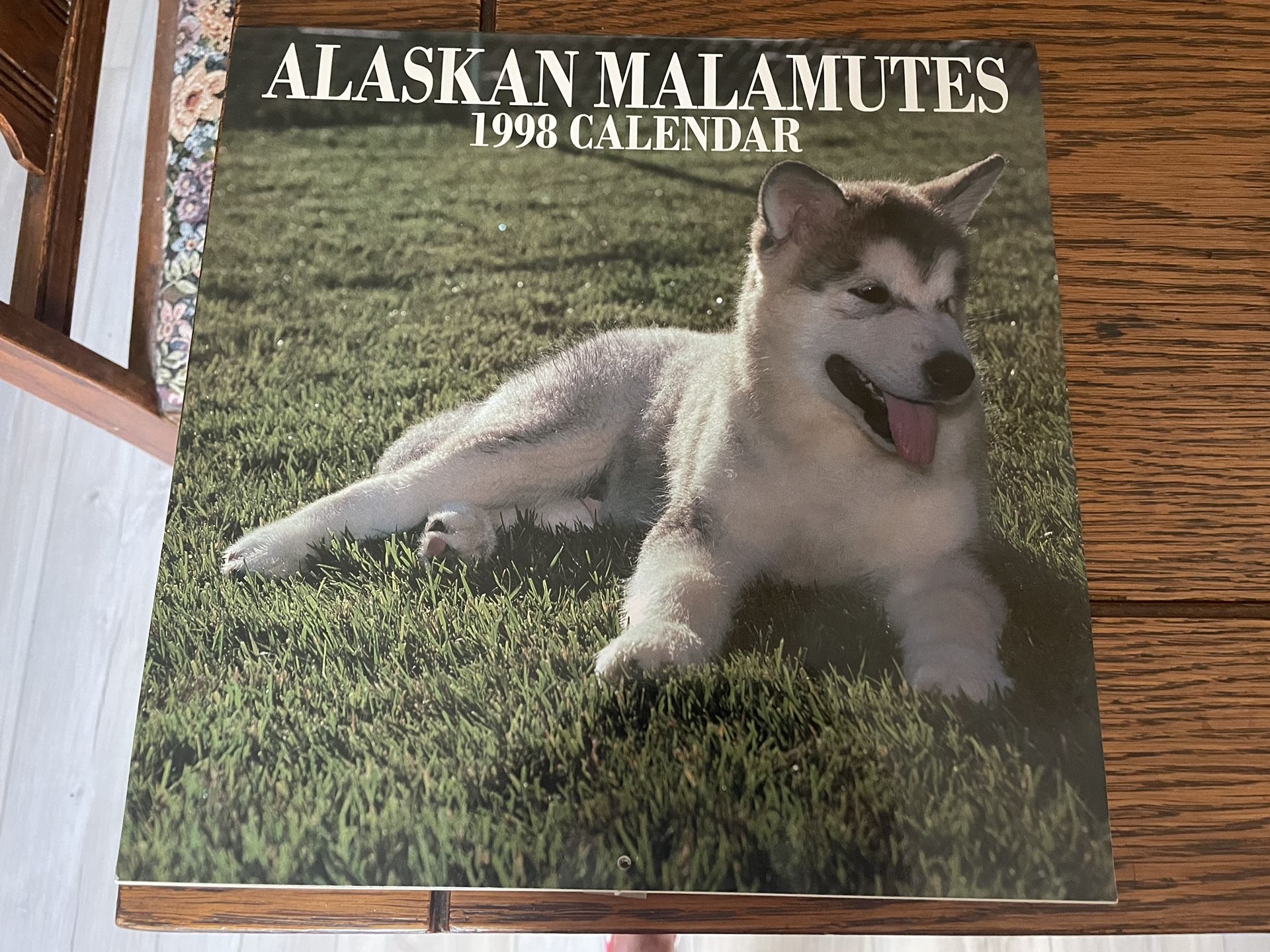 Alaskan Malamute 1998 Calendar