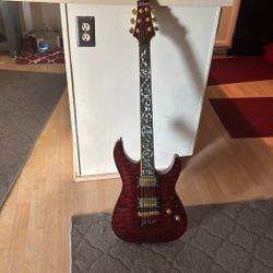 Schecter Electric Guitar