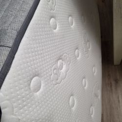 Mattress Twin Xl