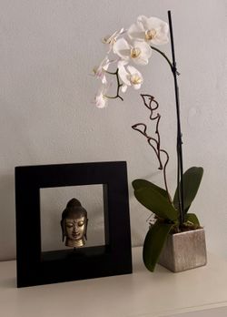 Orchid/Flower Decorative Pots