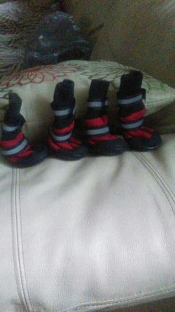Dog shoes