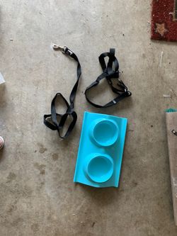 Collar, leash, and feeding bowl never used