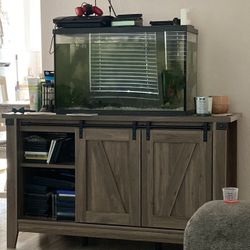 Fish Tank 