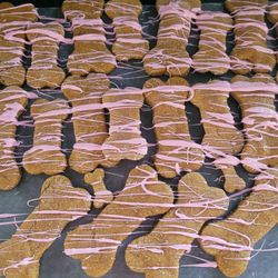 Gourmet Dog Treat Sampler Pack