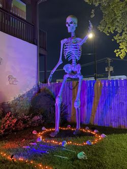 Giant Skeleton 12ft Used