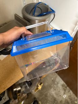 Fish Box