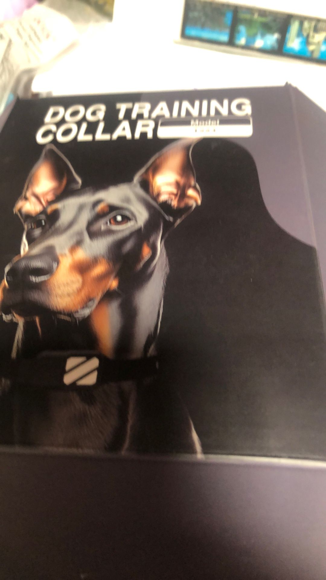 Dog Training Collar