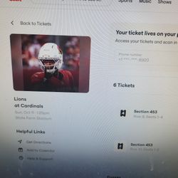 Arizona Cardinals Vs Detroit Lions 